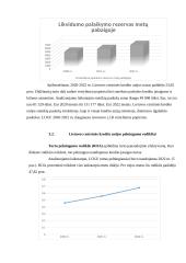 Referatas apie kredito unijas 19 puslapis