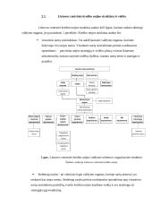 Referatas apie kredito unijas 10 puslapis