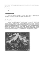 Dailės mokyklinio brandos egzamino kūrybinio darbo „Gyvybės medis“ aprašymas 18 puslapis