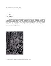 Dailės mokyklinio brandos egzamino kūrybinio darbo „Gyvybės medis“ aprašymas 19 puslapis