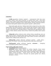 Dailės mokyklinio brandos egzamino kūrybinio darbo „Gyvybės medis“ aprašymas 5 puslapis