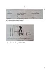 Biologinės membranos, jų funkcijos ir sudėtis. Medžiagų pernaša per biologines membranas 12 puslapis