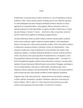 Žmogaus teisių grįsto modelio įgyvendinimo pagrindimas