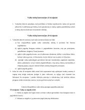 Žmogaus teisių grįsto modelio įgyvendinimo pagrindimas 2 puslapis