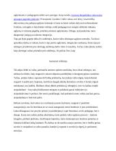 Žmogaus teisių grįsto modelio įgyvendinimo pagrindimas 4 puslapis