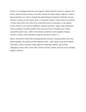 Žmogaus teisių grįsto modelio įgyvendinimo pagrindimas 5 puslapis