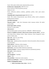 Slaugos planas: politrauma, galvos trauma 4 puslapis