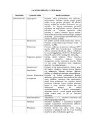 Slaugos planas: politrauma, galvos trauma 8 puslapis