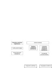 Šokas kaip kraujo apytakos sutrikimas 9 puslapis