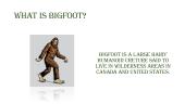 Bigfoot 2 puslapis