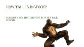 Bigfoot 3 puslapis