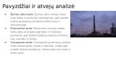 Ekologinės ekstremalios situacijos sukeliančios aplinkos oro pakitimus (užterštumą). Poveikis, pasekmės 11 puslapis