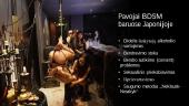 BDSM Japonijoje  15 puslapis