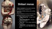 BDSM Japonijoje  8 puslapis
