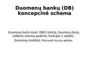 Duomenų bankų (DB) koncepcinė schema