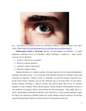 Haliucinogenai ir jų biologinis poveikis 3 puslapis