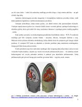 Haliucinogenai ir jų biologinis poveikis 5 puslapis