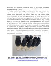 Haliucinogenai ir jų biologinis poveikis 8 puslapis