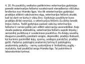 Paukštininkystė ir paukščių ligos 2 puslapis