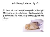 Paukštininkystė ir paukščių ligos 11 puslapis