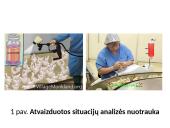 Paukštininkystė ir paukščių ligos 3 puslapis