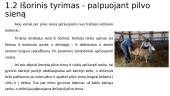 Ėringumo nustatymo metodai 9 puslapis