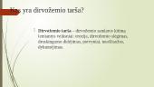 Kas yra aplinkos tarša? 11 puslapis