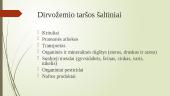 Kas yra aplinkos tarša? 13 puslapis