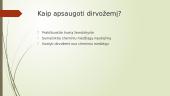 Kas yra aplinkos tarša? 14 puslapis