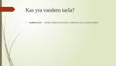 Kas yra aplinkos tarša? 19 puslapis