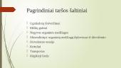 Kas yra aplinkos tarša? 4 puslapis