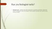 Kas yra aplinkos tarša? 9 puslapis