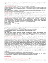 Lipidai maiste 3 puslapis