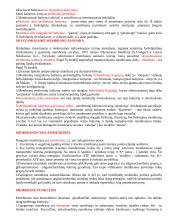 Lipidai maiste 7 puslapis