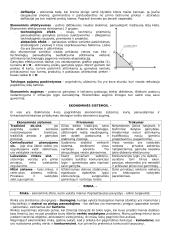 Mikroekonomika ir ekonomikos teorija 2 puslapis