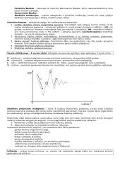 Mikroekonomika ir ekonomikos teorija 14 puslapis