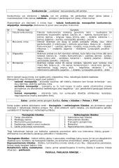 Mikroekonomika ir ekonomikos teorija 3 puslapis