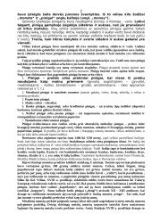 Pinigų sistema 2 puslapis