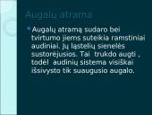 Organizmų judėjimas ir atrama (skaidrės) 10 puslapis