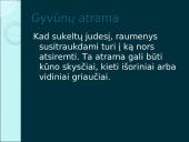 Organizmų judėjimas ir atrama (skaidrės) 12 puslapis