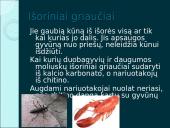 Organizmų judėjimas ir atrama (skaidrės) 14 puslapis