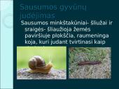 Organizmų judėjimas ir atrama (skaidrės) 16 puslapis