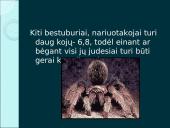 Organizmų judėjimas ir atrama (skaidrės) 17 puslapis