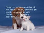 Organizmų judėjimas ir atrama (skaidrės) 18 puslapis