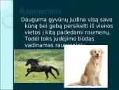 Organizmų judėjimas ir atrama (skaidrės) 4 puslapis