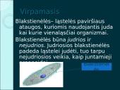 Organizmų judėjimas ir atrama (skaidrės) 7 puslapis