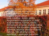 Organizmų judėjimas ir atrama (skaidrės) 8 puslapis