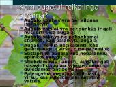 Organizmų judėjimas ir atrama (skaidrės) 9 puslapis