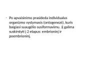 Individualus organizmų vystymasis 2 puslapis