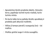 Individualus organizmų vystymasis 11 puslapis